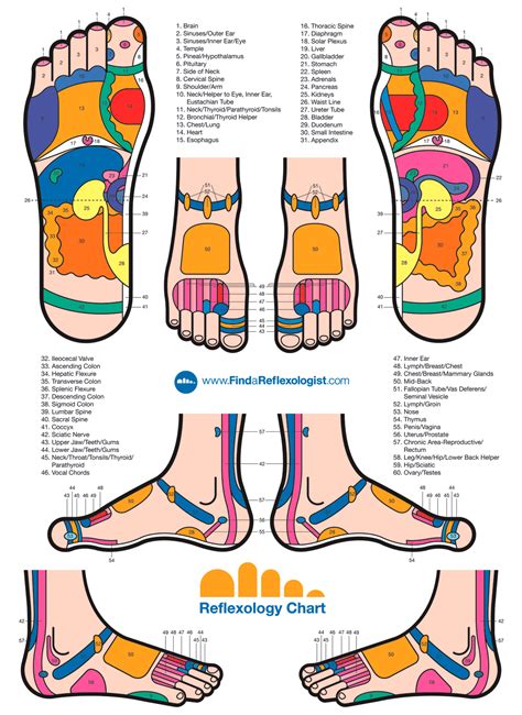 video reflexology|full body reflexology massage.